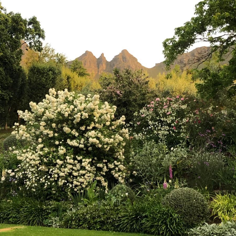 Longfield House Villa สเตลเลนบอช ภายนอก รูปภาพ